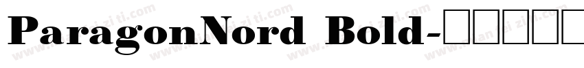 ParagonNord Bold字体转换